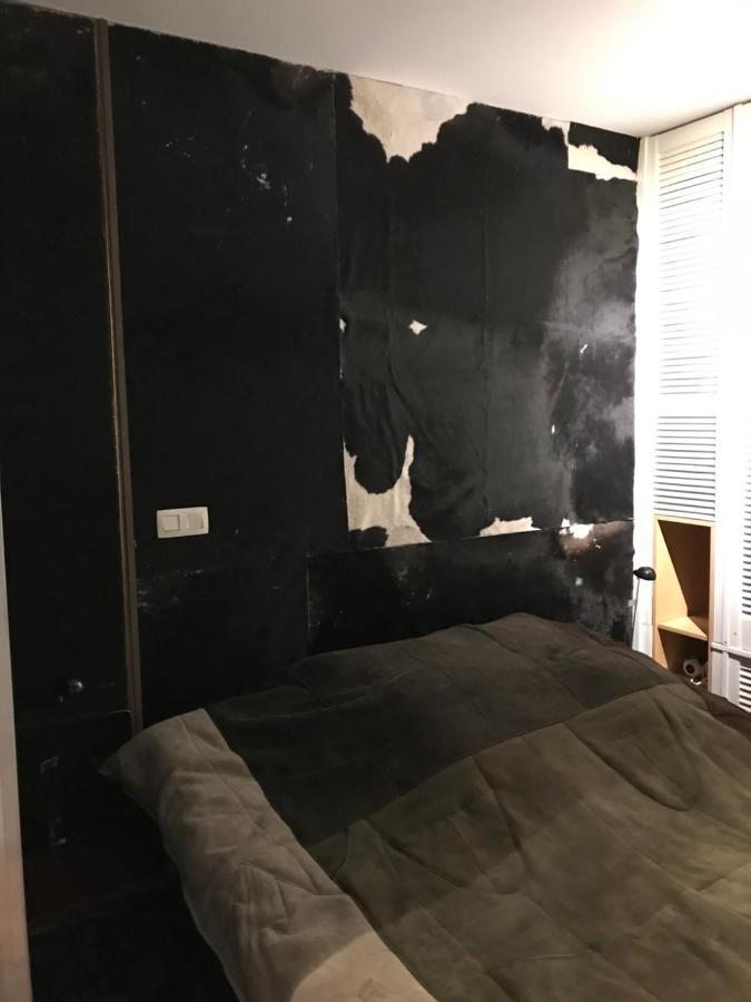 Caravaggio Boutique Suites 安特卫普 外观 照片
